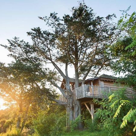 La Gree Des Landes - Eco-Hotel-Spa Yves Rocher Ла-Гасийи Экстерьер фото