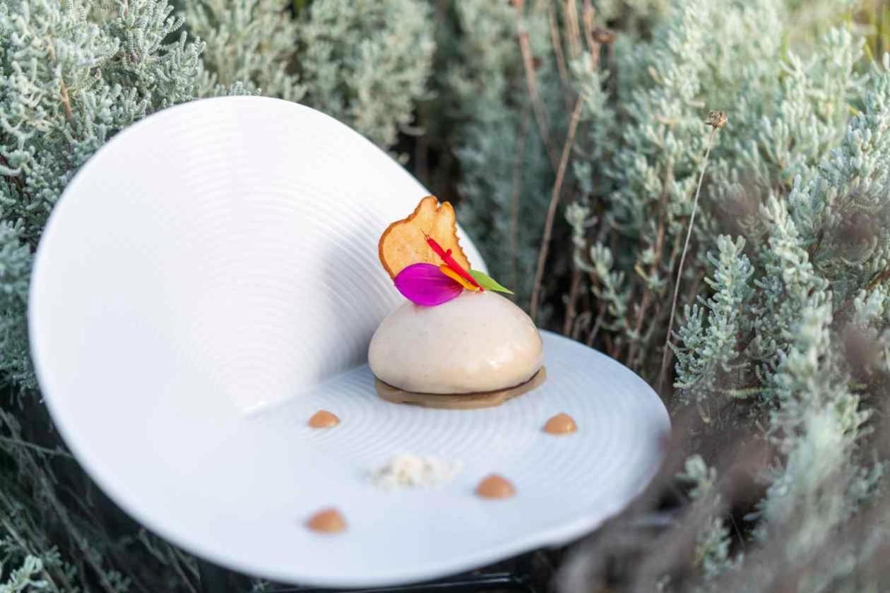 La Gree Des Landes - Eco-Hotel-Spa Yves Rocher Ла-Гасийи Экстерьер фото