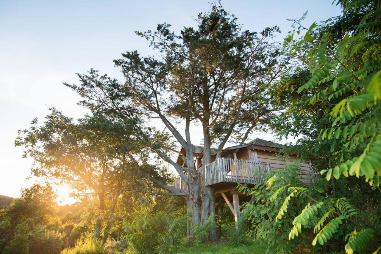 La Gree Des Landes - Eco-Hotel-Spa Yves Rocher Ла-Гасийи Экстерьер фото
